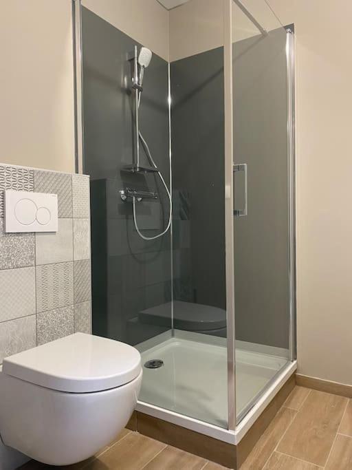 Appartement Proximite Centre Mulhouse Bagian luar foto